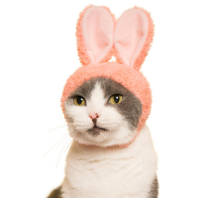 Bunny Ears Cat Cap