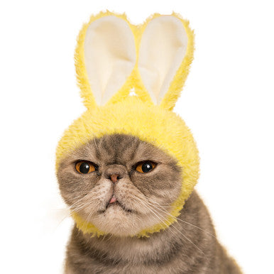 Bunny Ears Cat Cap
