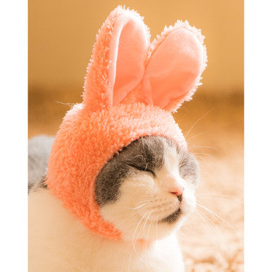 Bunny Ears Cat Cap