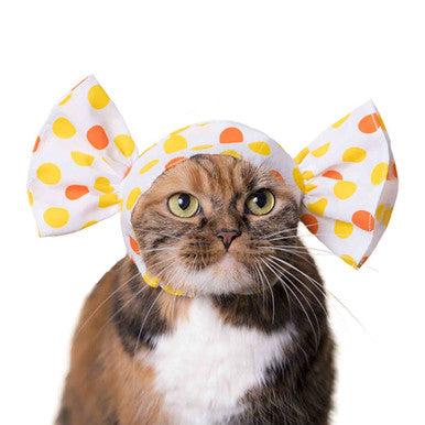Candy Cat Cap