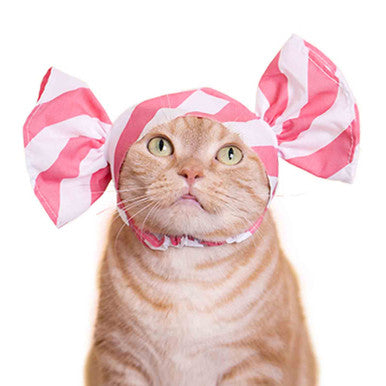 Candy Cat Cap
