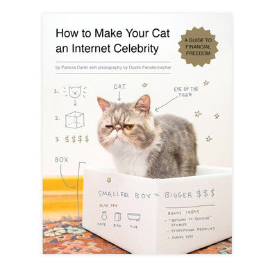 How to Make Your Cat an Internet Celebrity