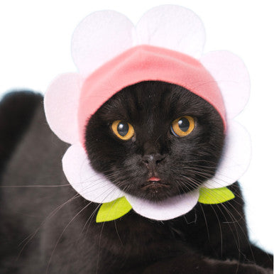 Flower Cat Cap