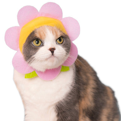 Flower Cat Cap