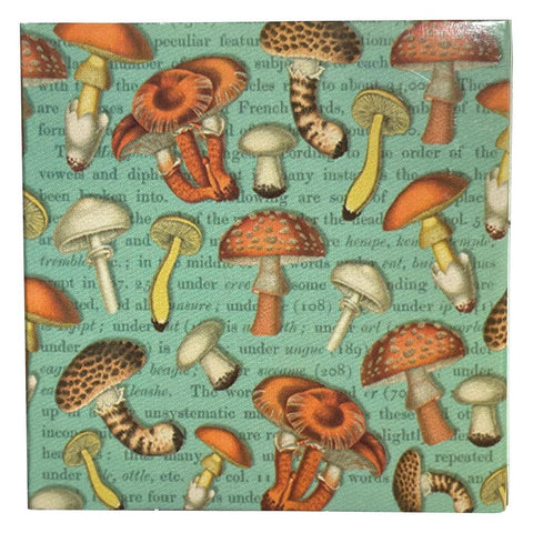 Mushroom Matchboxes