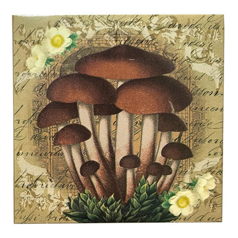 Mushroom Matchboxes