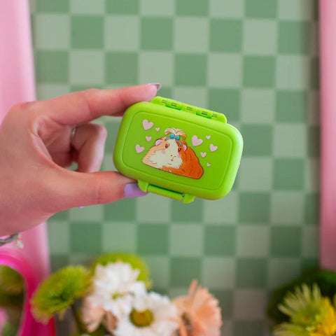 Guinea Pig Pill Case