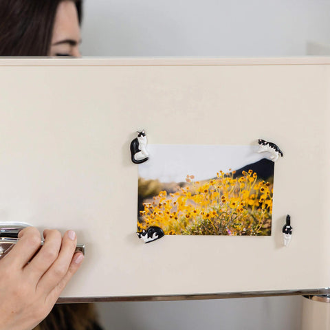 Tuxedo Cat Magnets Set