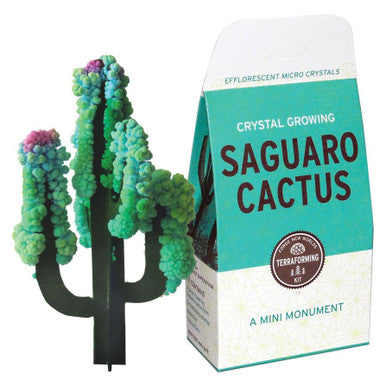 Crystal Growing Saguaro Cactus