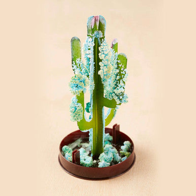 Crystal Growing Saguaro Cactus