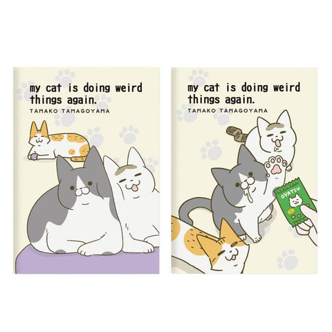 My Cat is Doing Weird Things Again Notebooks