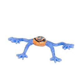 Itty Bitty Poison Dart Frogs