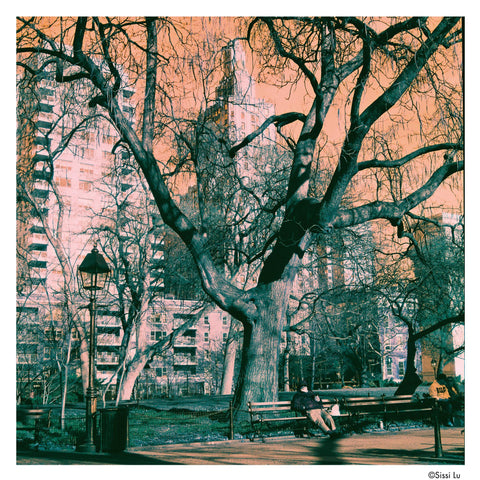 Harman Switch Azure 125 Color 35mm Film