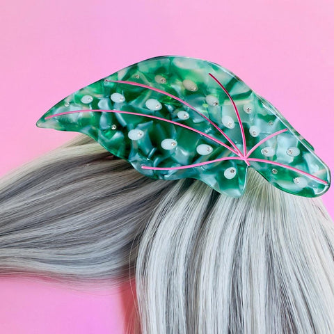 Begonia Maculata Hair Claw