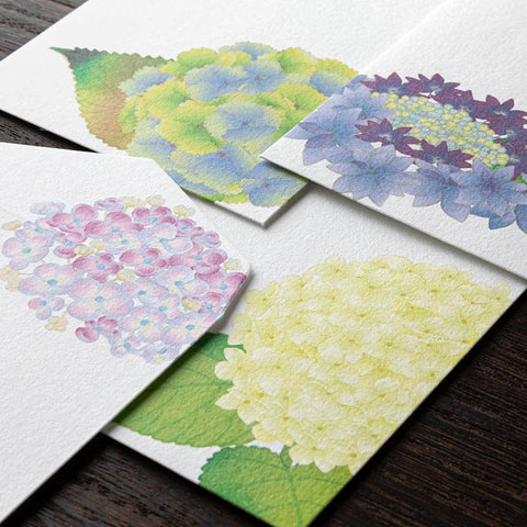Hydrangea Envelopes