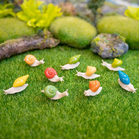 Itty Bitty Snail