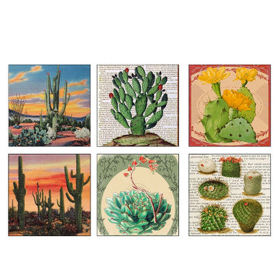 Desert Beauty Matchboxes