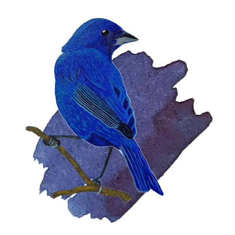 Indigo Bunting Blue Ink