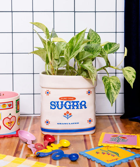 Sugar Jar Ceramic Planter