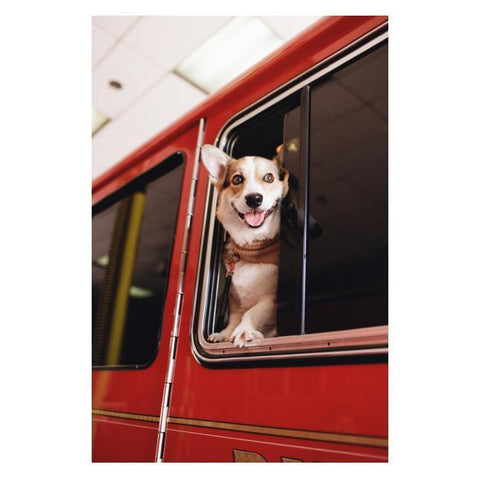 Kodacolor 200 35mm Film