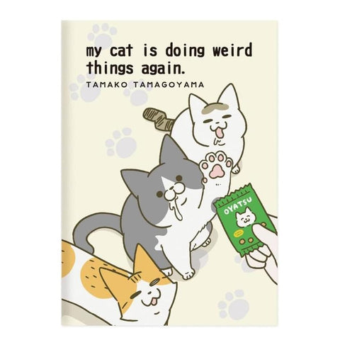 My Cat is Doing Weird Things Again Notebooks