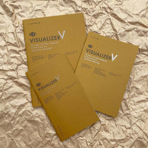 Visualizer Notebooks