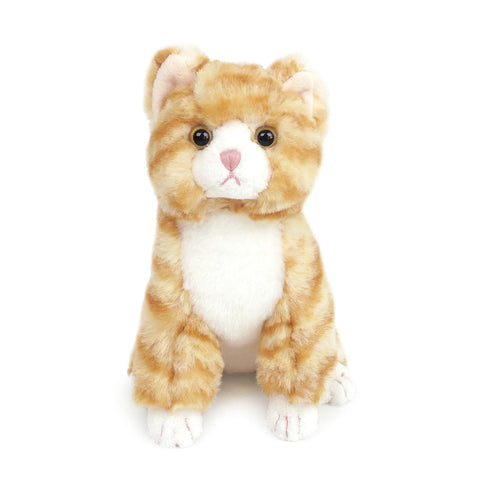 Chichi Kitty Small Plush