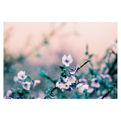 LomoChrome Turquoise 35mm Film