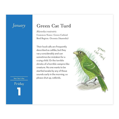 The Field Guide to Dumb Birds 2027 Day-to-Day Calendar