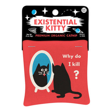 Existential Catnip Toy