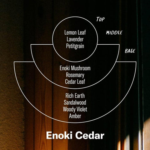 Enoki Cedar Alchemy Reed Diffuser