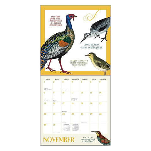 Effin' Birds 2026 Wall Calendar