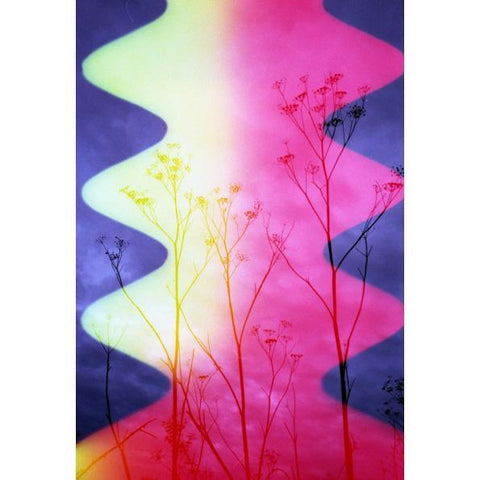 Psychedelic Blues #7 Specialty Color 35mm Film