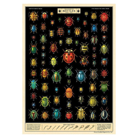 Field Guide to Beetles Wrap Sheet