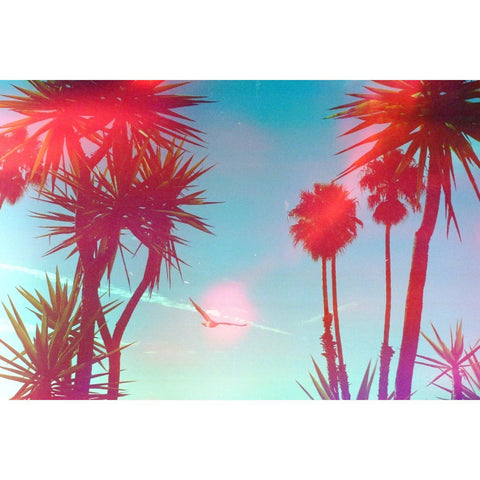 Psychedelic Blues #3 Specialty Color 35mm Film