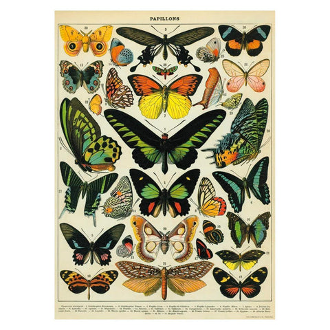 Butterflies Wrap