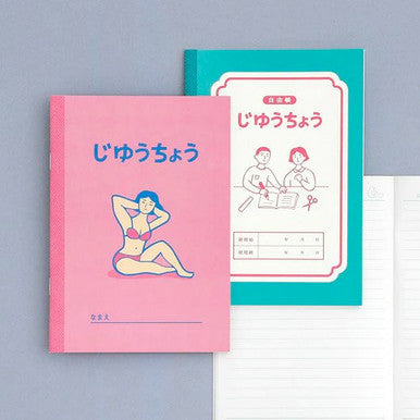 Retro Pop B6 Notebooks