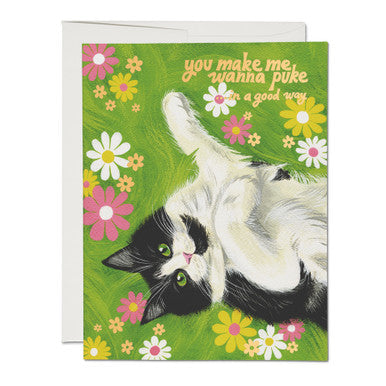 Nice Kitty Card