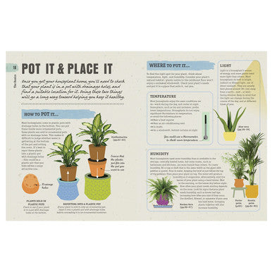 How Not to Kill Your Houseplant