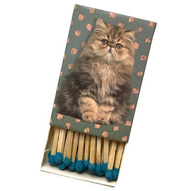 Precious Kitty Matchboxes
