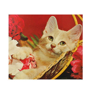 Lounging Kitty Simply Purrfect Key Pal