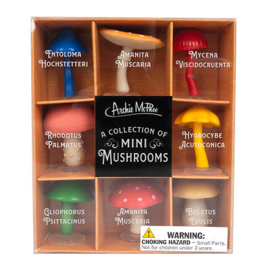 A Collection of Mini Mushrooms