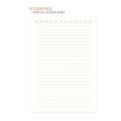 Terracotta Radiant Rays Suede Journal