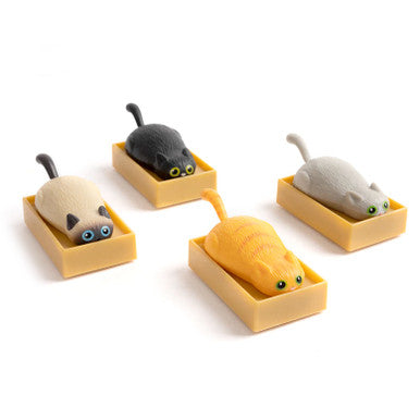 Racing Cats in Boxes