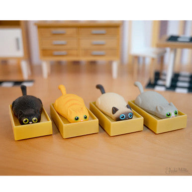 Racing Cats in Boxes