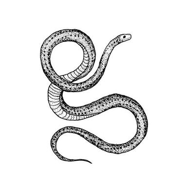 Serpent Tattoos