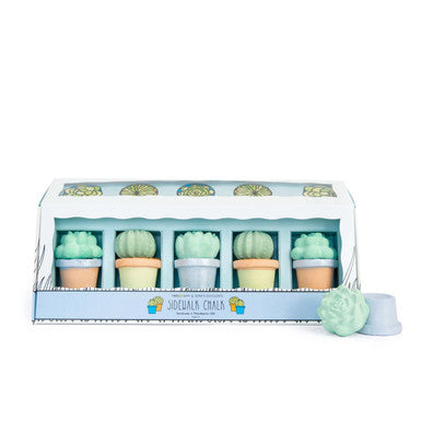 Succulents Sidewalk Chalk