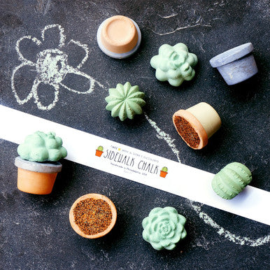 Succulents Sidewalk Chalk