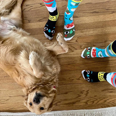 Sushi + Soy Sauce Socks