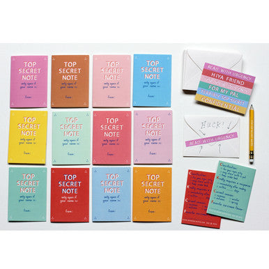 Top Secret Notes Set